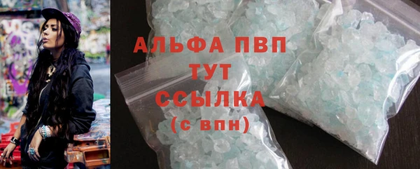 ешки Новозыбков