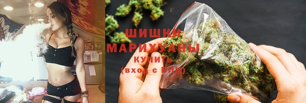 ECSTASY Ельня