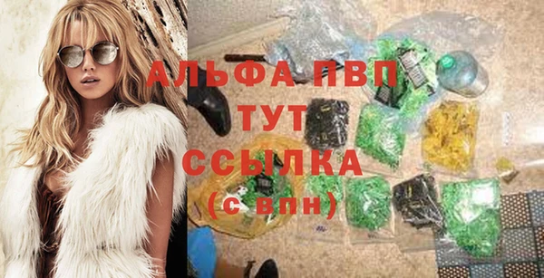 ешки Новозыбков