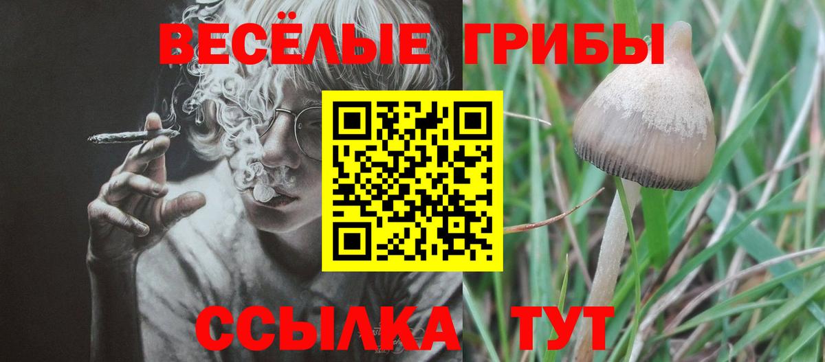 Саянск  Псилоцибиновые грибы GOLDEN TEACHER  Вход с VPN 